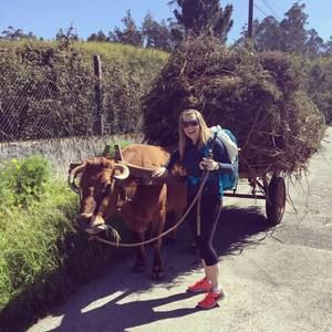 Meet your Posher, Tori